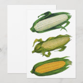 ヴィンテージ フード ヘルシー ベジタブルズ、フレッシュ コーン オン ザ コブ (正面/裏面)