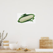 ヴィンテージ フード 野菜 とうもろこしの実 ポスター (キッチン)