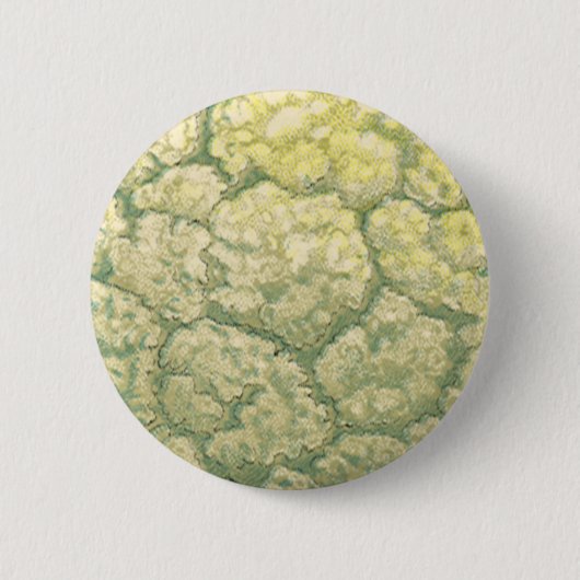 ヴィンテージ フード 野菜 カリフラワー 缶バッジ (正面)