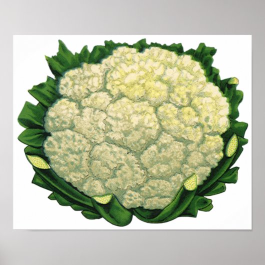 ヴィンテージ フード 野菜 コリフラワー ポスター (正面)