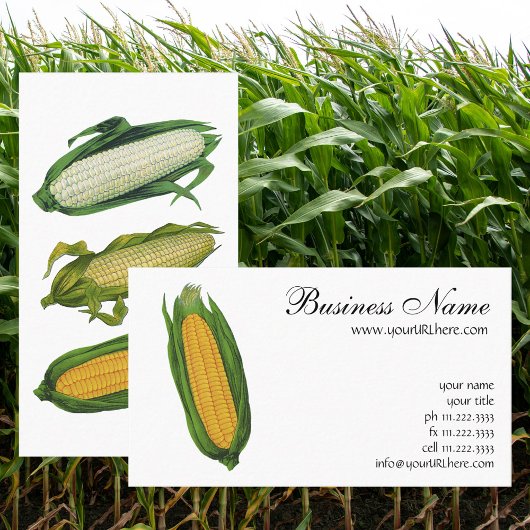 ヴィンテージ フード 野菜; 黄色のとうもろこし 名刺
