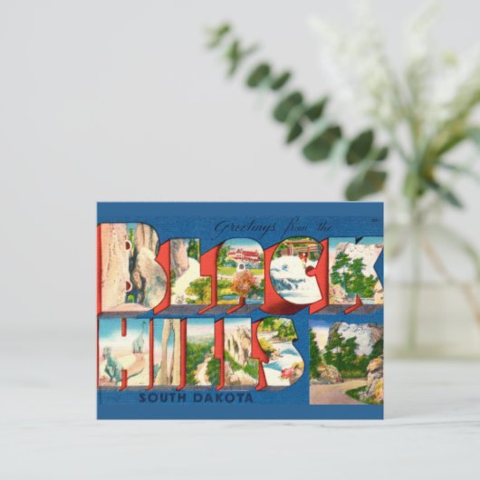 ヴィンテージ ブラックヒルズSD サウシング ポストカード (スタンド正面)