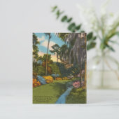 ヴィンテージ ブルックウッド パーク, ヴァルドスタ ジョージア州 ポストカード (スタンド正面)