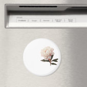 ヴィンテージ ブルッシュピンクの芍薬の花の写真 マグネット (インサイチュ (食洗機))