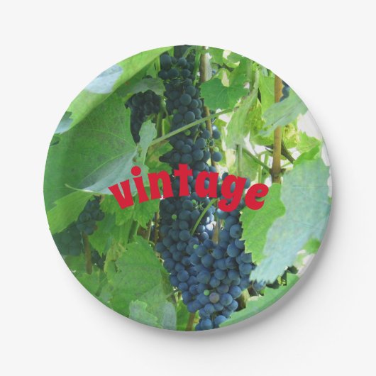 ヴィンテージ ブルーのぶどう ペーパープレート (正面)