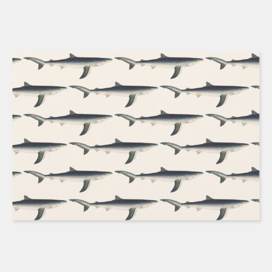 ヴィンテージ ブルーシャーク 水生海洋生物 ラッピングペーパーシート (正面3)