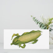 ヴィンテージ、ヘルシーな野菜、コブのトウモロコシ (スタンド正面)