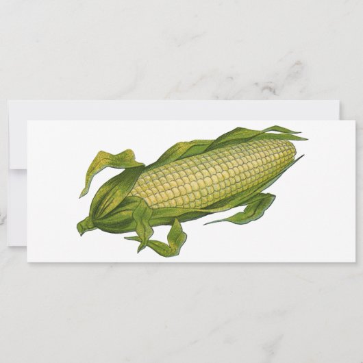 ヴィンテージ、ヘルシーな野菜、コブのトウモロコシ (正面)