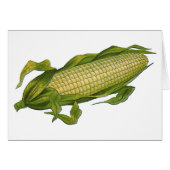 ヴィンテージ、ヘルシーな野菜、コブのトウモロコシ (正面横)