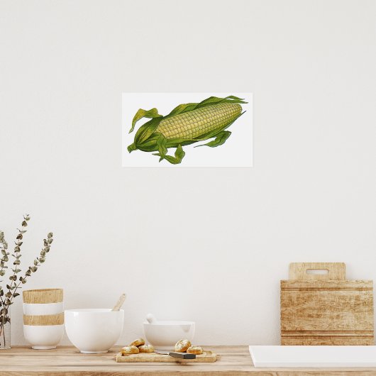 ヴィンテージ、ヘルシーな野菜、コブのトウモロコシ ポスター (キッチン)