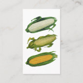 ヴィンテージ、ヘルシーな野菜、コブのトウモロコシ 名刺 (裏面)