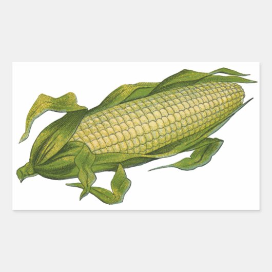 ヴィンテージ、ヘルシーな野菜、コブのトウモロコシ 長方形シール (正面)