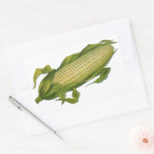 ヴィンテージ、ヘルシーな野菜、コブのトウモロコシ 長方形シール (封筒)