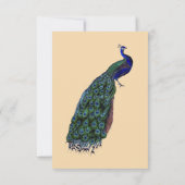 ヴィンテージ ペコック セーブ・ザ・デート インビテーション (裏面)