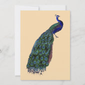 ヴィンテージ ペコック 結婚式招待状 招待状 (裏面)