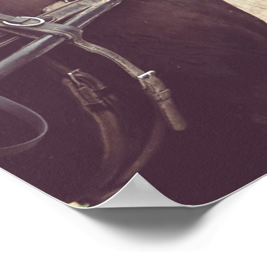 ヴィンテージ・ペルシフェイクロン ポスター (角)