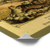 ヴィンテージ ペルシャ アンゴラ 猫 自然史 プリント (角)