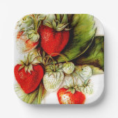 ヴィンテージ ペーパープレート (正面)