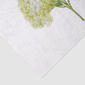 ヴィンテージ ホワイト イエロー アジサイ 花 フローラル 薄葉紙 (詳細)