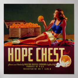 ヴィンテージ ホープ チェスト ブランド オレンジ 果物ラベル ポスター