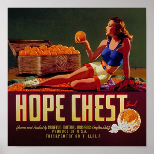 ヴィンテージ ホープ チェスト ブランド オレンジ 果物ラベル ポスター (正面)