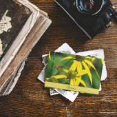 ヴィンテージ ボタニカル ハニービー アート コレクション ポストカード