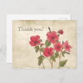 ヴィンテージ ボタニカル ピンク ワイルドフラワー サンクス ポストカード (正面/裏面)