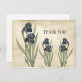 ヴィンテージ ボタニカル ブルー ヒゲのあるアイリス お礼 ポストカード (正面/裏面)