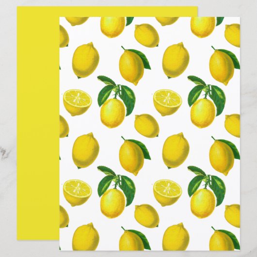 ヴィンテージ ボタニカル レモン プリント (正面/裏面)