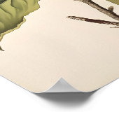 ヴィンテージ ポスター (角)