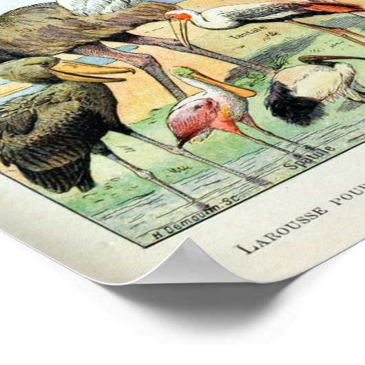 ヴィンテージ ポスター (角)