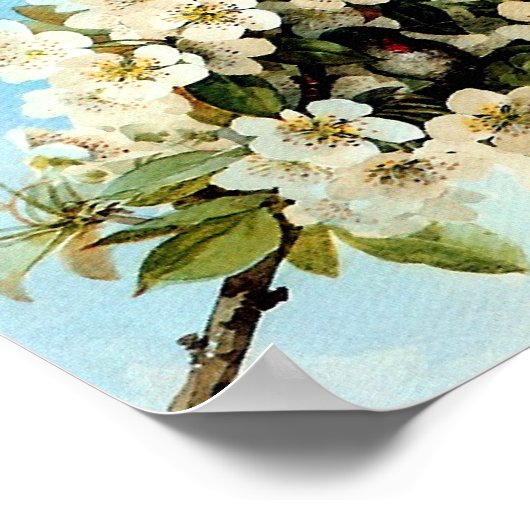 ヴィンテージ ポスター (角)