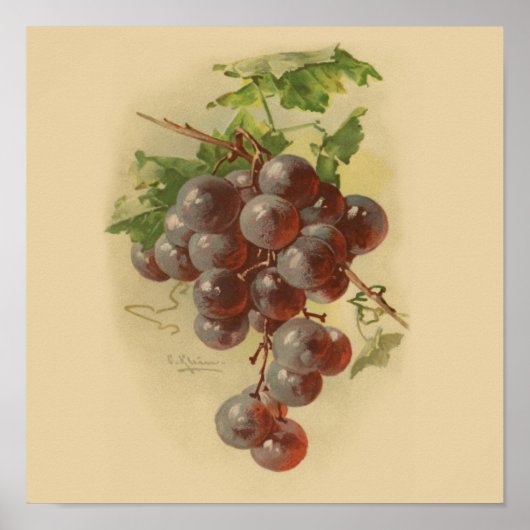 ヴィンテージ ポスター (正面)