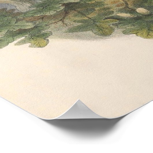 ヴィンテージ ポスター (角)