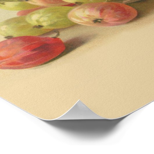 ヴィンテージ ポスター (角)