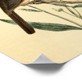 ヴィンテージ ポスター (角)