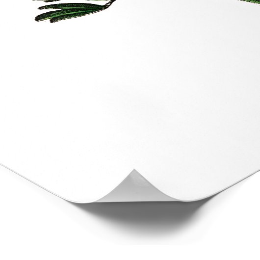 ヴィンテージ ポスター (角)