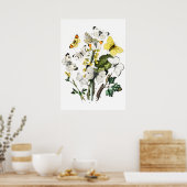 ヴィンテージ ポスター (キッチン)