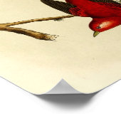 ヴィンテージ ポスター (角)