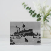 ヴィンテージ ポストカード (スタンド正面)