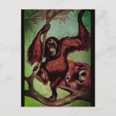 ヴィンテージ ポストカード (正面)