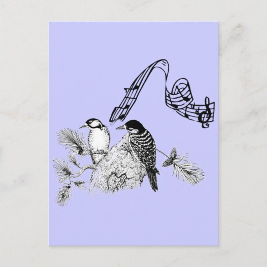 ヴィンテージ ポストカード (正面)