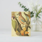 ヴィンテージ ポストカード (スタンド正面)