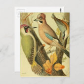 ヴィンテージ ポストカード (正面/裏面)