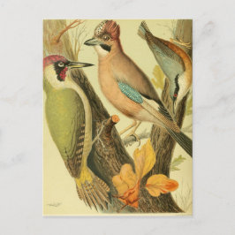 ヴィンテージ ポストカード