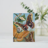 ヴィンテージ ポストカード (スタンド正面)