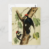 ヴィンテージ ポストカード (正面/裏面)