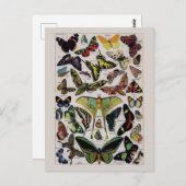 ヴィンテージ ポストカード (正面/裏面)