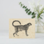 ヴィンテージ ポストカード (スタンド正面)