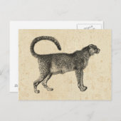 ヴィンテージ ポストカード (正面/裏面)